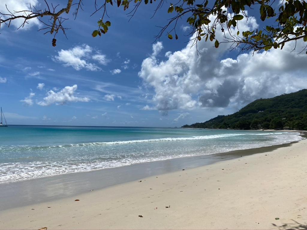 Beau Bamboo Apartment Beau Vallon  Exterior foto